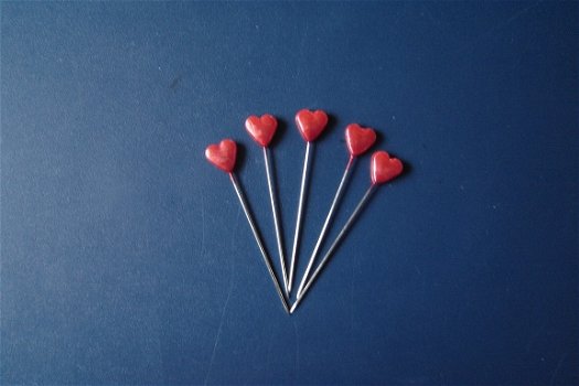 Set van 5 insteek hartjes - 1