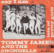 Tommy James And The Shondells - Say I Am -1966-vinylsingle