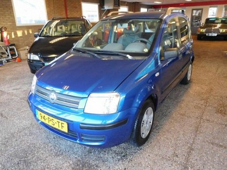 Fiat Panda - 1.2 Dynamic - 1