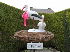 Geboorte / 3d ooievaars 2 st op echt nest met roze strik