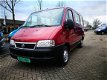 Fiat Ducato - Rolstoelbus - 1 - Thumbnail