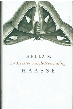 De meester van de neerdaling door Hella S. Haasse - 1