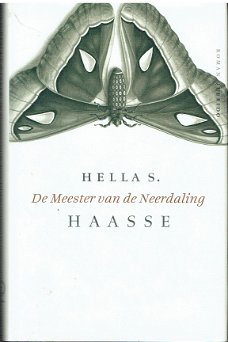 De meester van de neerdaling door Hella S. Haasse