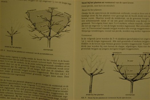 Fruit uit eigen tuin - 2