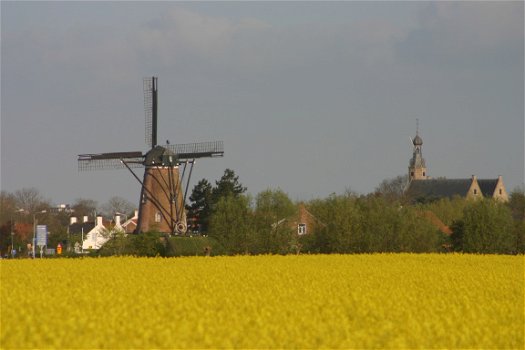 Modern nieuw appartement aan de Zeeuwse kust - 7