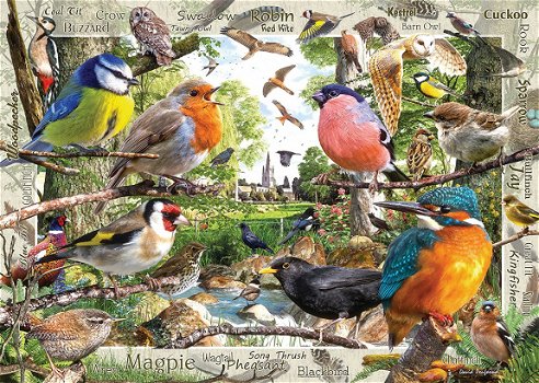 Ravensburger - Our Feathered Friends - 1000 Stukjes Nieuw - 1