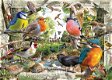 Ravensburger - Our Feathered Friends - 1000 Stukjes Nieuw - 1 - Thumbnail