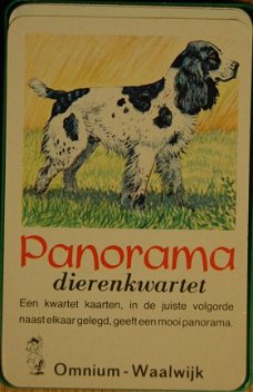 Panorama Dierenkwartet