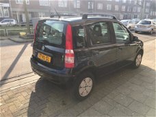 Fiat Panda - 1.1 Active Plus 53.547 km N.A.P / ZEER NETTE WAGEN