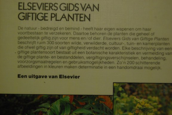Elseviers gids van giftige planten - Afbeelding 4