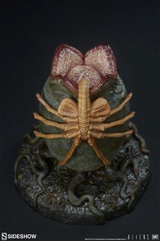 Sideshow Alien egg - 4