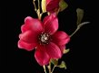 kunstbloemen,kunstplanten,magnolia,voorjaar,zijdebloemen - 1 - Thumbnail
