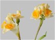 kunstbloemen,kunstplanten,narcis,geel,voorjaar,zijdebloemen - 2 - Thumbnail