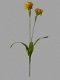 kunstbloemen,kunstplanten,narcis,geel,voorjaar,zijdebloemen - 3 - Thumbnail