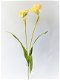kunstbloemen,kunstplanten,narcis,geel,voorjaar,zijdebloemen - 5 - Thumbnail