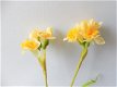 kunstbloemen,kunstplanten,narcis,geel,voorjaar,zijdebloemen - 6 - Thumbnail