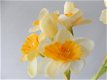 kunstbloemen,kunstplanten,narcis,geel,voorjaar,zijdebloemen - 7 - Thumbnail