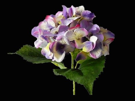kunstbloemen,kunstplanten,hortensia,blauw,paars,zijdebloemen - 1