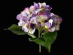 kunstbloemen,kunstplanten,hortensia,blauw,paars,zijdebloemen - 1 - Thumbnail