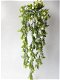 kunstplanten,kunstbloemen,hangplant,rozen,roos,wit,zijdebloemen - 1 - Thumbnail