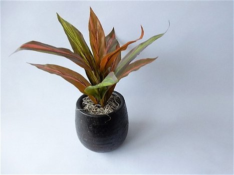 kunstplanten,kunstbloemen,dracena,geel groen,rood groen,slechts €0,99 - 4