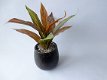 kunstplanten,kunstbloemen,dracena,geel groen,rood groen,slechts €0,99 - 4 - Thumbnail