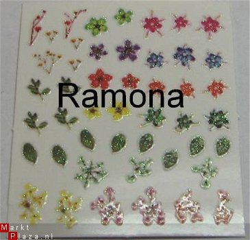 Gekleurde 3D Nagel stickers droog bloemen Bloem nail art - 1