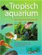 Het tropisch aquarium - de complete raadgever - 0 - Thumbnail