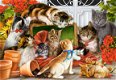 Castorland - Kittens Play Time - 1500 Stukjes - 1 - Thumbnail