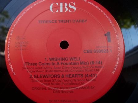 TERENCE TRENT DÁRBY WISHING WELL DOOS 2 - Afbeelding 2