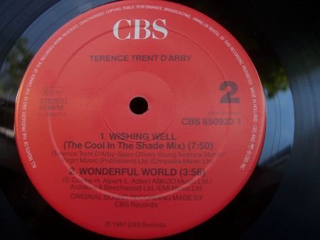 TERENCE TRENT DÁRBY WISHING WELL DOOS 2 - Afbeelding 3