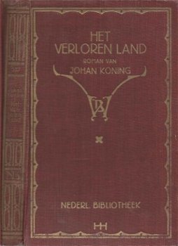 JOHAN KONING**EEN VERLOREN LAND**PAARS-BRUINE**TEXTUUR LINNE - 1