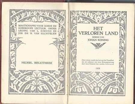 JOHAN KONING**EEN VERLOREN LAND**PAARS-BRUINE**TEXTUUR LINNE - 3