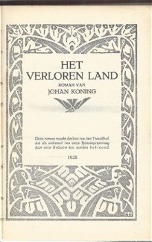 JOHAN KONING**EEN VERLOREN LAND**PAARS-BRUINE**TEXTUUR LINNE - 5