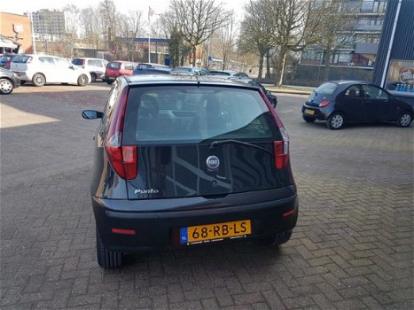 Fiat Punto - 1.2 YOUNG - 1