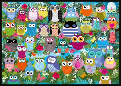 Schmidt - Collage of Owls II - 1000 Stukjes Nieuw - 1