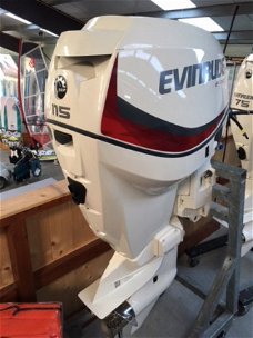 Evinrude E115DSLAF