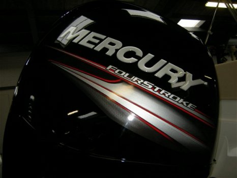 Mercury F150 EFI - 2