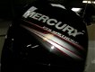 Mercury F150 EFI - 2 - Thumbnail