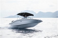 Sea Ray SPX 210 Outboard