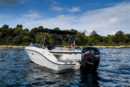 Sea Ray SPX 210 Outboard - 8