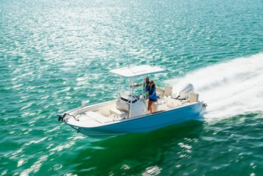 Boston Whaler 210 Montauk - 3