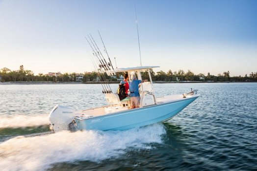 Boston Whaler 210 Montauk - 4