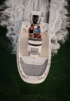 Boston Whaler 210 Dauntless - 3