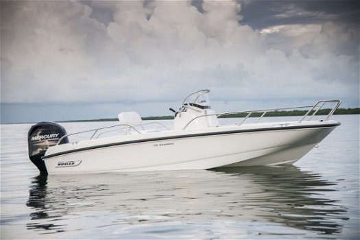 Boston Whaler 170 Dauntless - 1