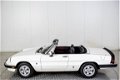 Alfa Romeo Spider - Graduate Injection - 1 - Thumbnail