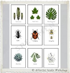 Mini quote kaarten flora en fauna 7.5x6cm A4 hobbymaterialen hobbyartikelen
