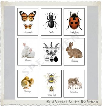 Mini quote kaarten flora en fauna 7.5x6cm A4 hobbymaterialen hobbyartikelen - 4
