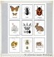 Mini quote kaarten flora en fauna 7.5x6cm A4 hobbymaterialen hobbyartikelen - 4 - Thumbnail