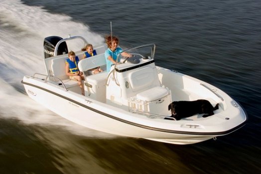 Boston Whaler 180 Dauntless - 2